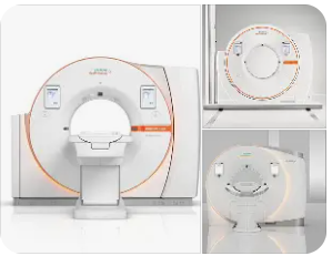 Which part of the body receives the highest radiation?
